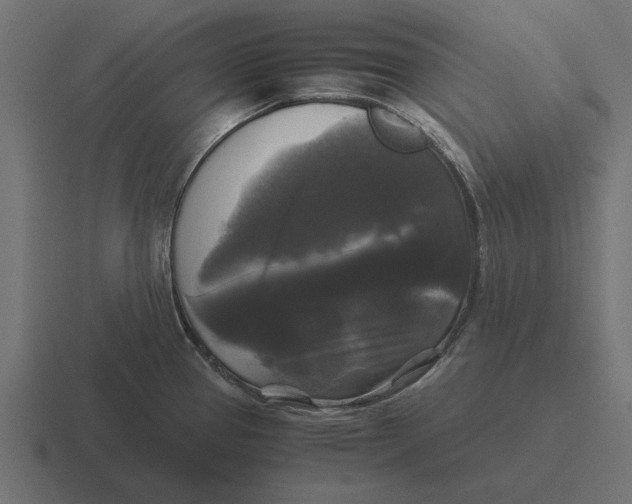 X0000116441337200912291920