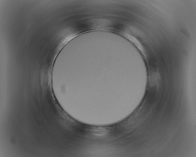 X0000116441338200912291920