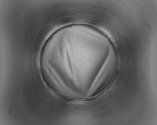 X0000116441342200912291920