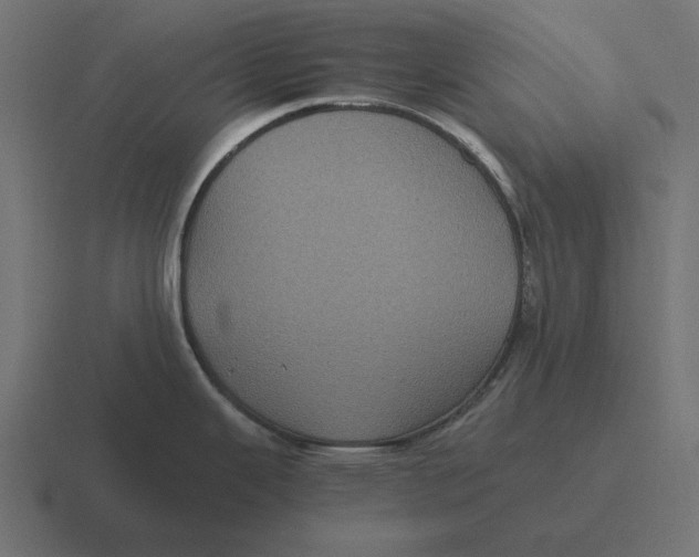 X0000116441343200912291920