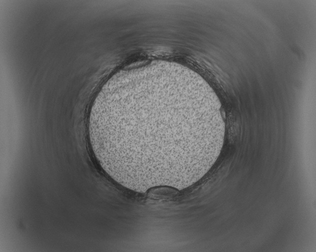 X0000116441345200912291920