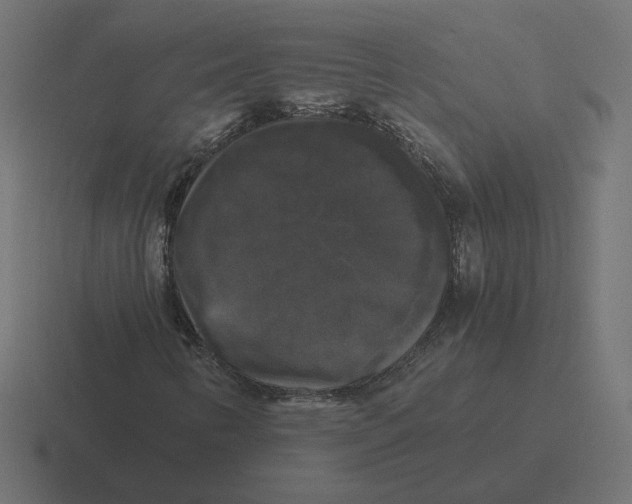 X0000116441346200912291920