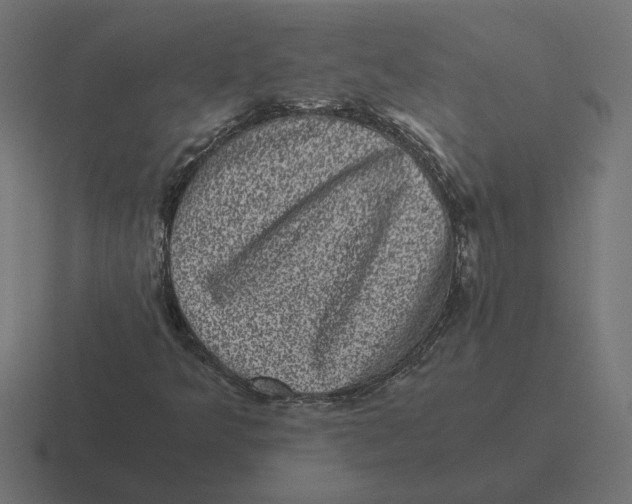 X0000116441349200912291920