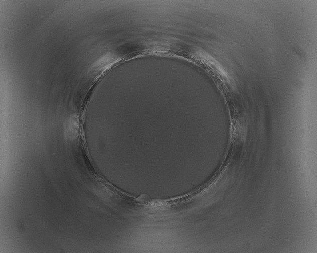 X0000116441353200912291920
