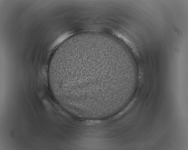 X0000116441354200912291920