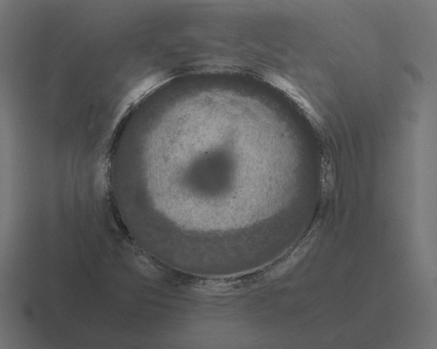 X0000116441357200912291920