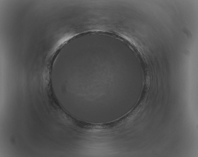 X0000116441359200912291920