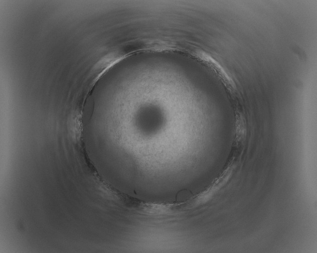 X0000116441361200912291920