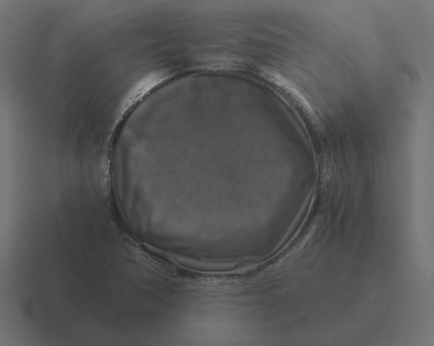 X0000116441362200912291920