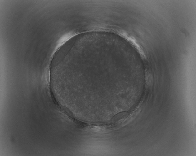 X0000116441365200912291920