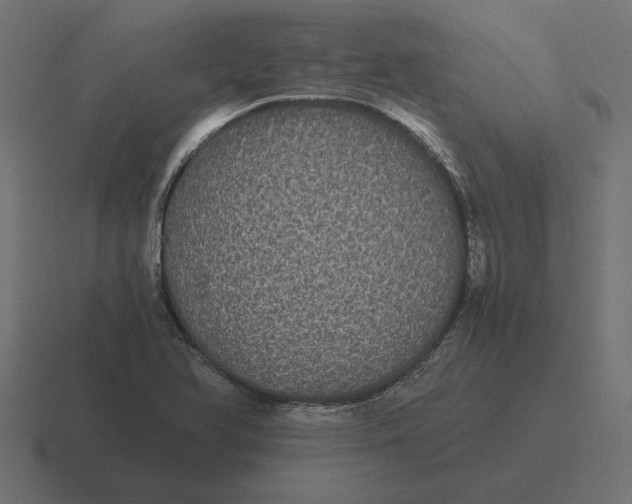X0000116441366200912291920