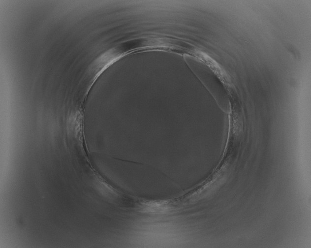 X0000116441369200912291920