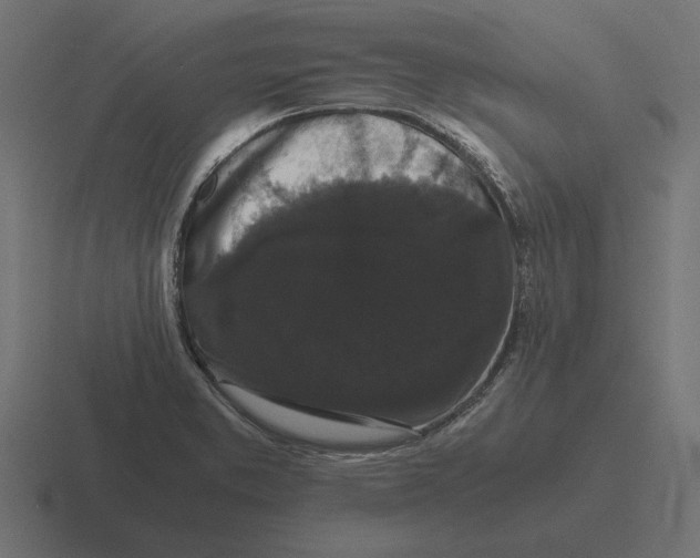 X0000116441373200912291920