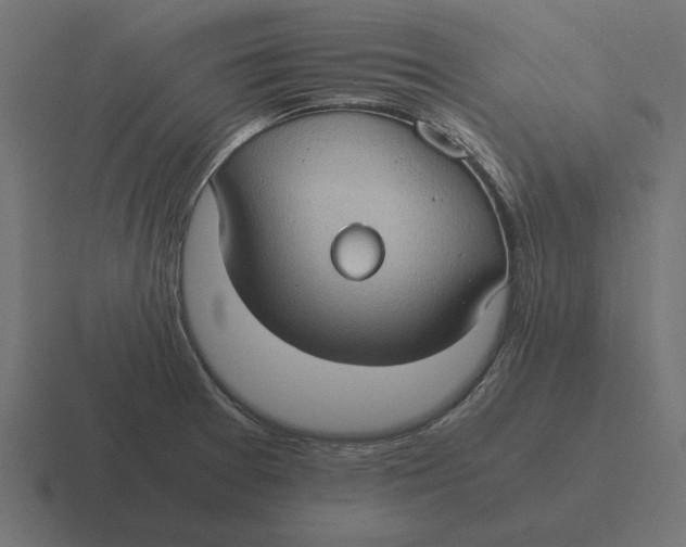 X0000116441377200912291919