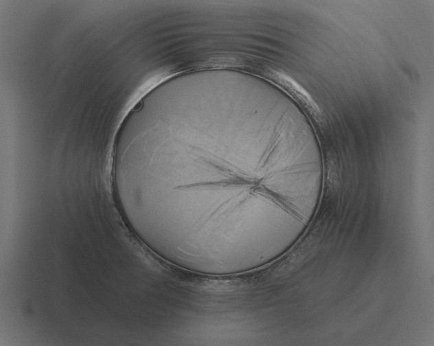 X0000116441378200912291919