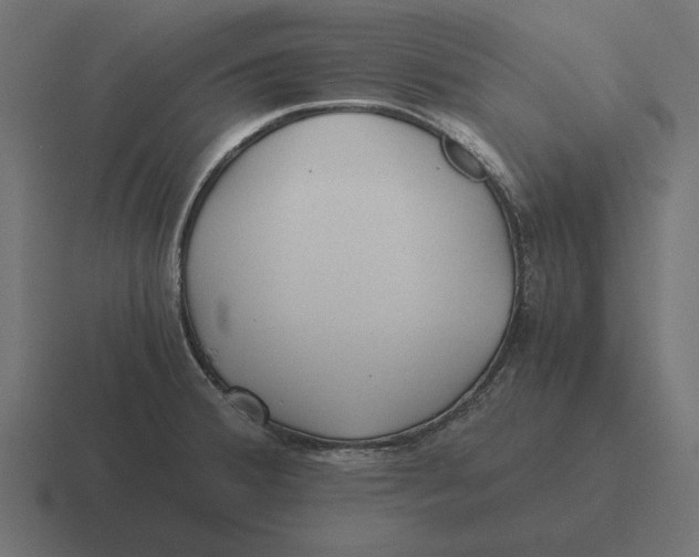 X0000116441380200912291919