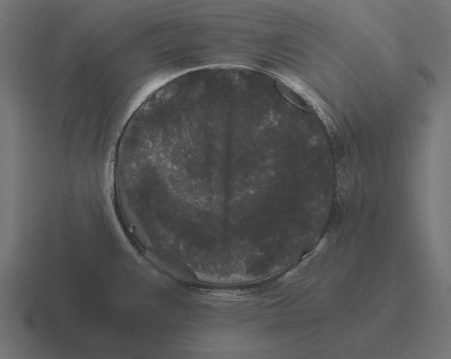 X0000116441383200912291919