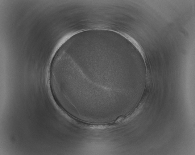 X0000116441389200912291919