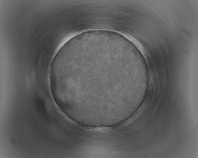 X0000116441390200912291919