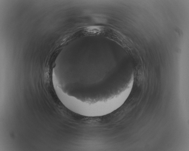 X0000116441394200912291919