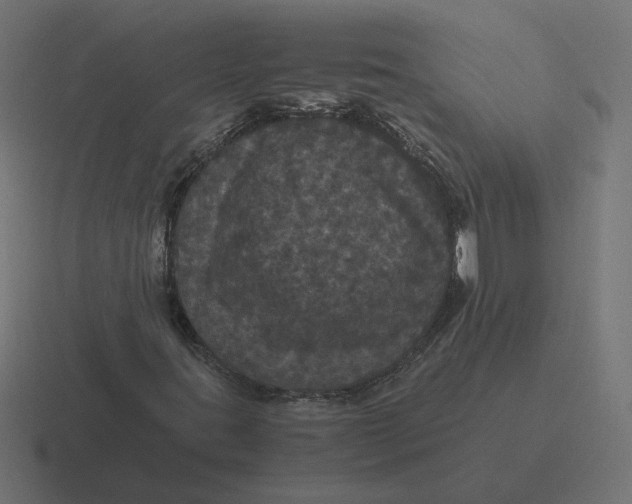 X0000116441395200912291919