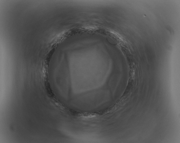 X0000116441397200912291919