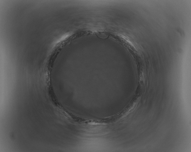 X0000116441398200912291919