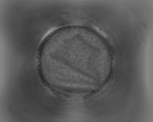 X0000116441400200912291919