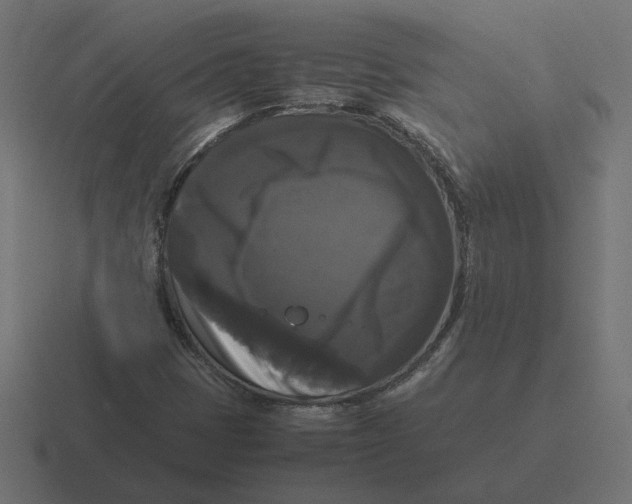 X0000116441401200912291919