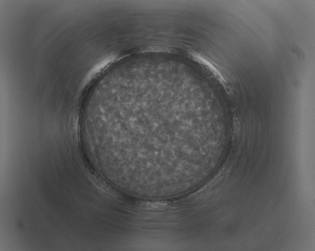 X0000116441403200912291919