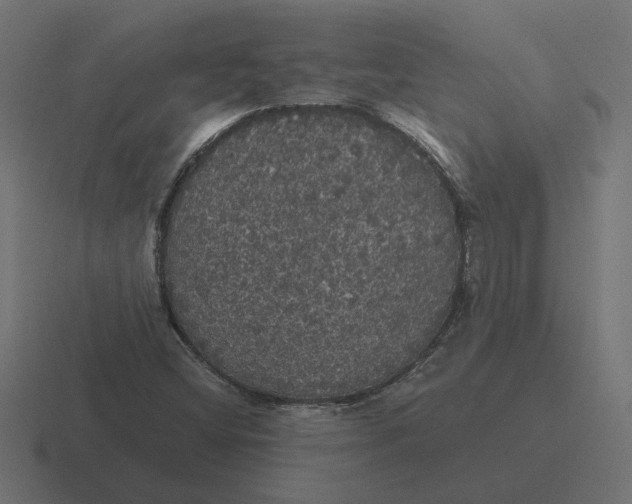 X0000116441404200912291919