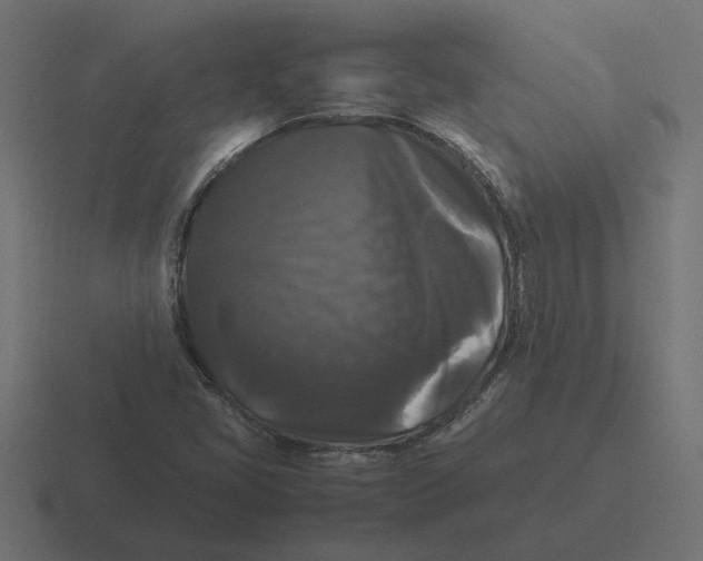X0000116441405200912291919