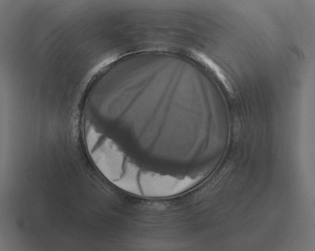 X0000116441411200912291919