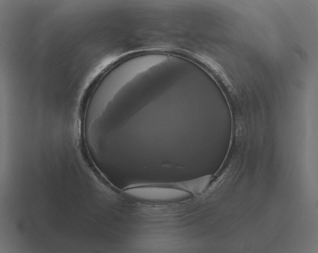X0000116441414200912291919