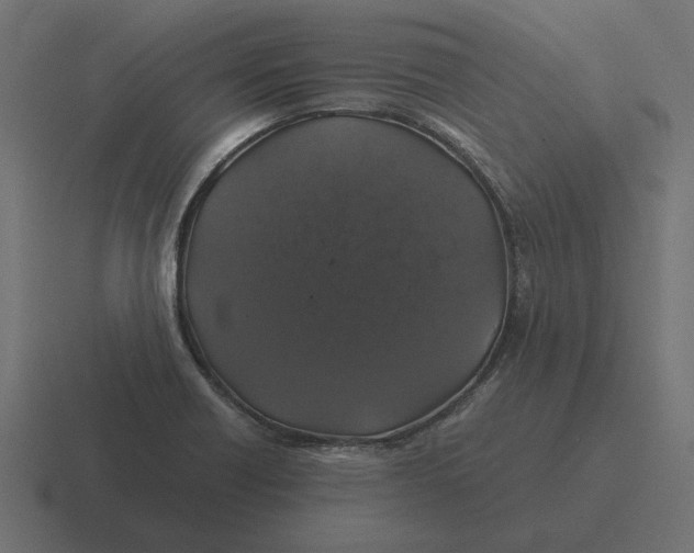 X0000116441418200912291919