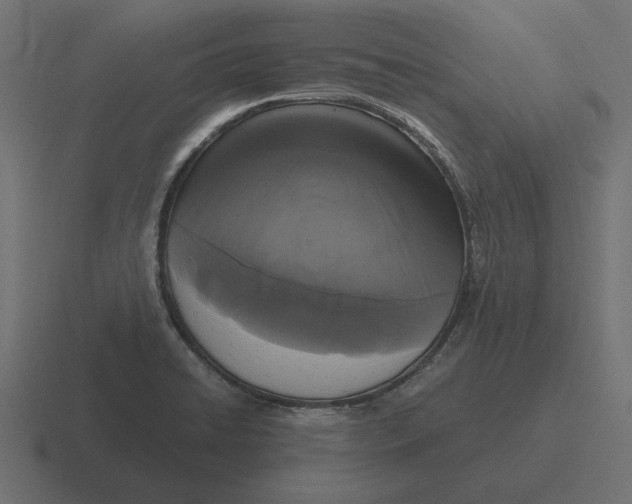 X0000116441422200912291919