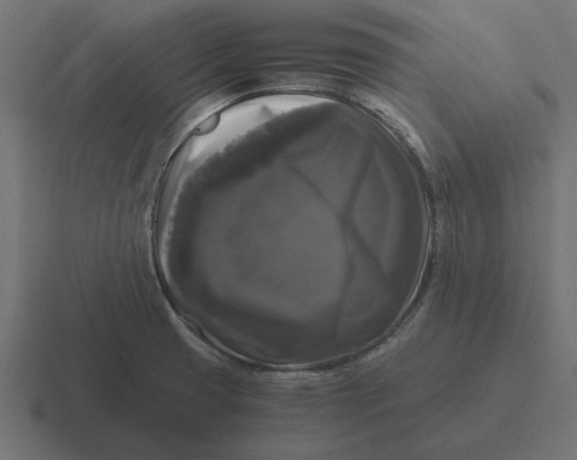 X0000116441425200912291919
