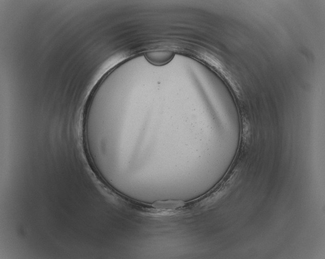 X0000116441426200912291919