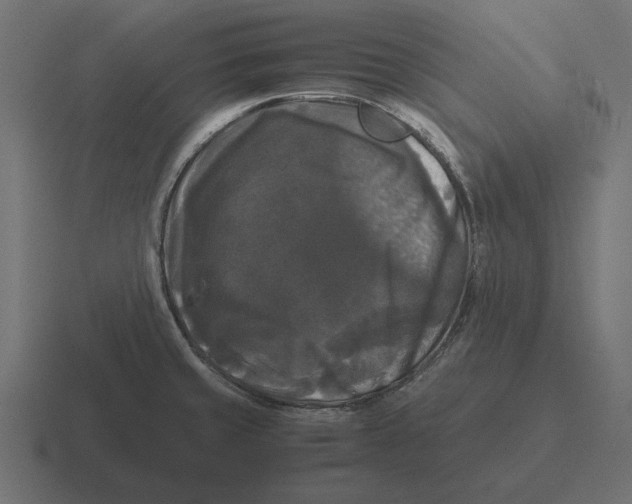 X0000116441429200912291919