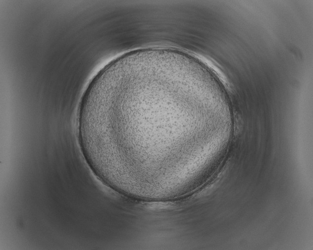 X0000116441430200912291919