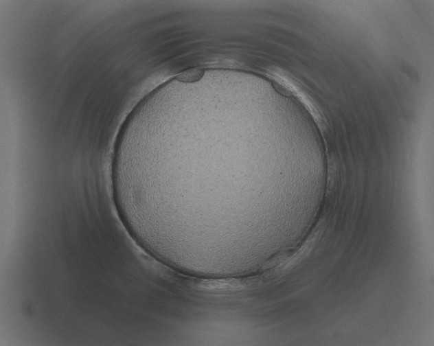 X0000116441434200912291919