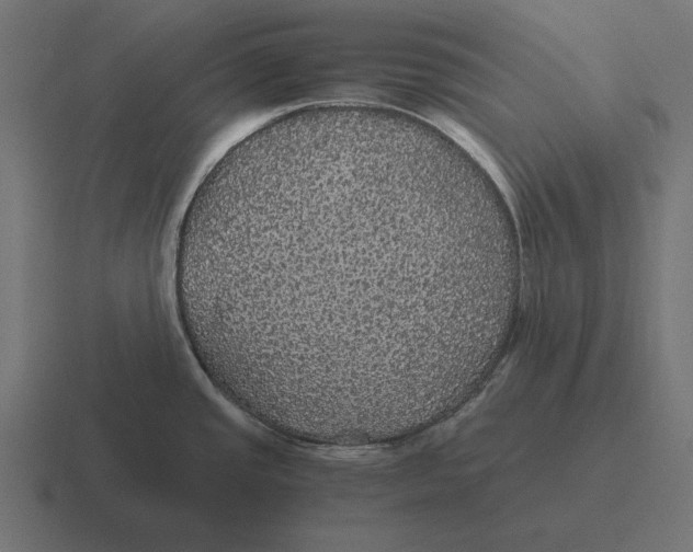 X0000116441437200912291919