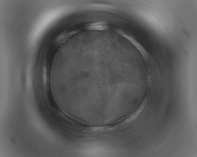 X0000116441438200912291919