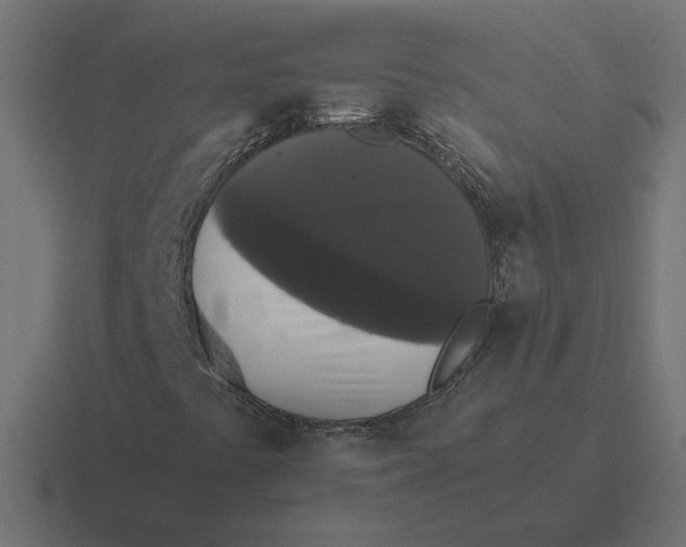 X0000116441441200912291919