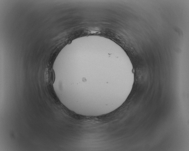 X0000116441442200912291919