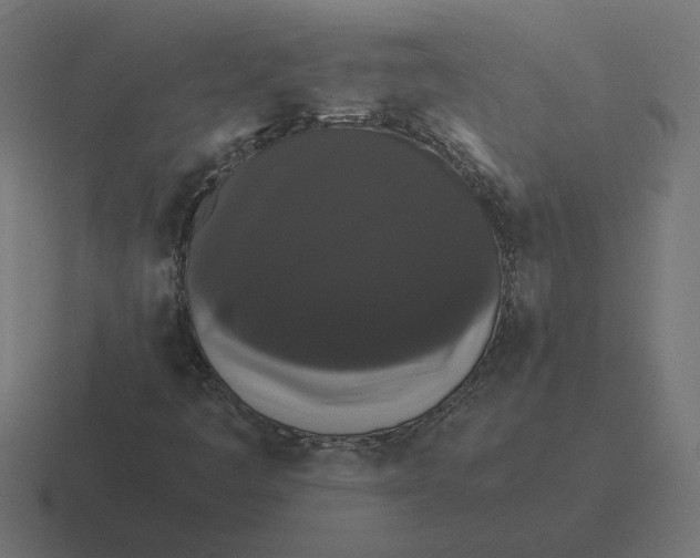 X0000116441445200912291919