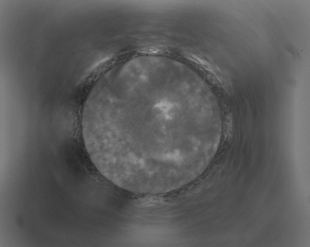 X0000116441446200912291919