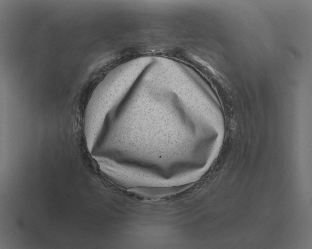 X0000116441447200912291919
