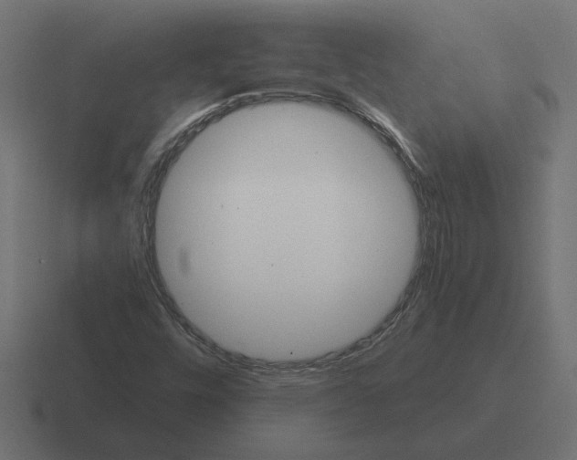 X0000116441448200912291919