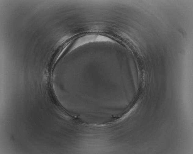X0000116441449200912291919